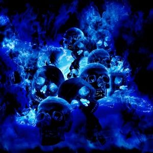 Meet your Posher, Dee